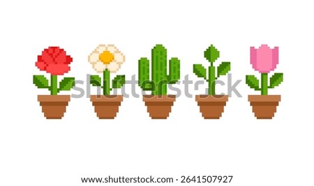 Pixel Art flowers and plants collection in retro 8-bit grapics. Pixel Art Blossom flower and Indoor potted plant set 2 of: rose, cactus, chamomile and tulip. Vector pixel illustration