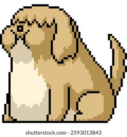 pixel art of furry fat dog isolated background