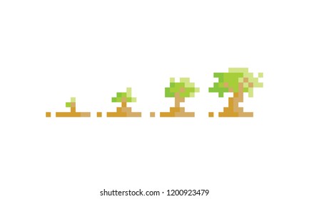 pixel art grown tree icon logo vector