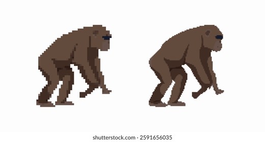 Pixel art illustrations show the transition of an ape evolving into a human figure.