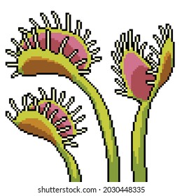 pixel art of insect eating plant