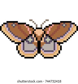 pixel art insect moth isolated