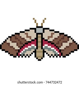 pixel art insect moth isolated