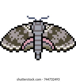 pixel art insect moth isolated