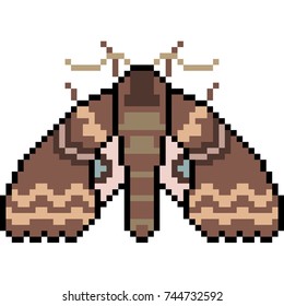 pixel art insect moth isolated