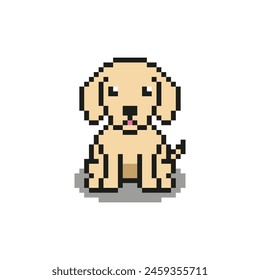 Pixel art of labrador dog, vector illustration on isolated background.