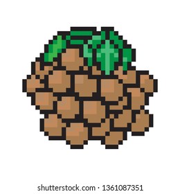 pixel art Longan
