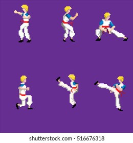 Pixel Art Martial Art Character