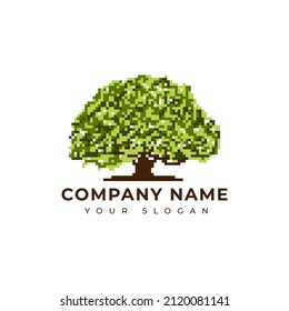 Diseño del logo de un árbol de encino