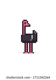 Pixel art ostrich isolated on white background
