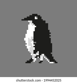Pixel art penguin. Isolated pixelated vector illustration.