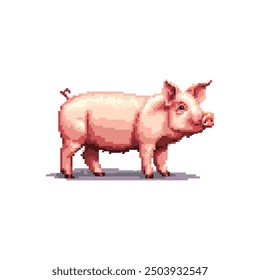Pixel Art Pink Pig Standing on White Background. Vector illustration design.