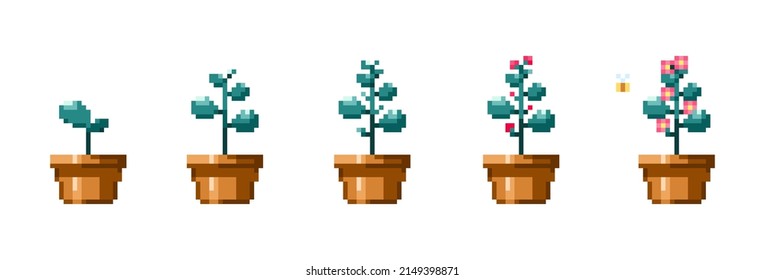 Pixel art plat growth stages. Vintage 90s gaming 8 bit icon set of flower growth process. Vector pixel plant in flower pot game isolated patterns.	