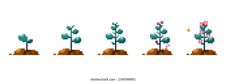 Pixel art plat growth stages. Vintage 90s gaming 8 bit icon set of flower growth process. Vector pixel flower plant in ground game isolated patterns.	