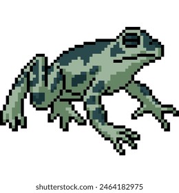 pixel art of poison green frog isolated background