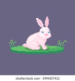 Pixel art rabbit. Farm animal for game design. Cute vector illustration.