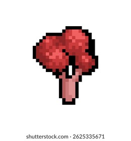 Pixel art red broccoli illustration. pixel art logos. pixel art food
