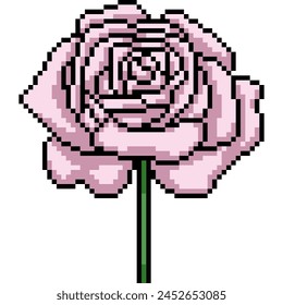 Pixel-Kunst der Rosenblüte wachsen isolierten Hintergrund