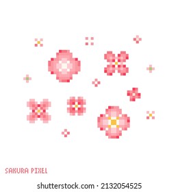 Pixel art sakura flowers icon set. Vector 8 bit style illustrations of asian cherry or plum flowers. Decorative oriental spring hanami sakura blossom element of retro video game computer graphic pack.