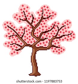 Pixel art sakura tree detailed illustration isolated vector