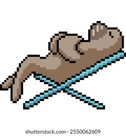 pixel art of seal beach nap isolated background