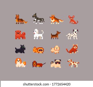 Pixel art set of dogs different kinds. Cute pixelated icons on isolated color. Vector illustration.