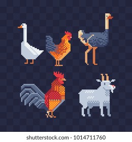 Pixel art set of farm animals characters. Goose, chicken, rooster, ostrich and goat isolated vector illustration. Cartoon flat style icon for children's mobile app and sticker. Game assets.