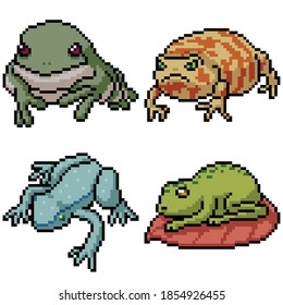 pixel art set isolated amphibian frog