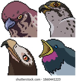 pixel art set isolated bird portrait