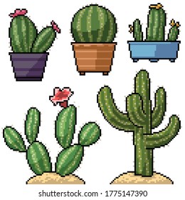 pixel art set isolated cactus decoration