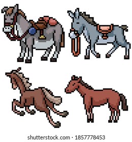 conjunto de imágenes en píxeles vehículo de burro aislado