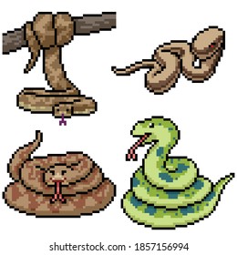 Pixel Art Set Isolated Jungle Snake