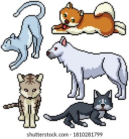 grupo de arte de píxeles mascota aislada
