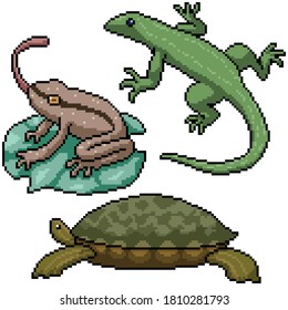 pixel art set isolated small amphibian reptile
