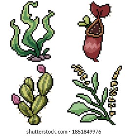 Pixelkunstwerk einzeln auf seltsame Pflanze