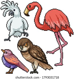 pixel art set isolated wild bird species