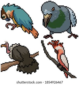 pixel art set isolated wild bird