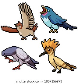 pixel art set isolated wild bird