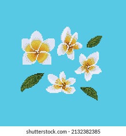 Pixel art set of white frangipani.
