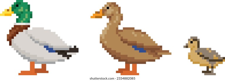 Pixel art set of Wild duck birds. Ducks family. Male Drake, female duck and duckling icons. Vector illustration isolated on white background.
