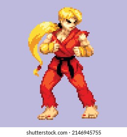 pixel art style street fighter character