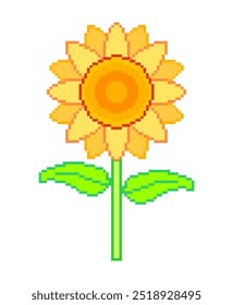 Pixel art of Sunflower set vector. Pixelated flower vector for video games icon.