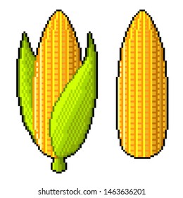 Pixel art sweet corn detailed illustration isolated vector