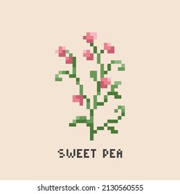 Pixel art sweet pea. Vintage 90s gaming 8 bit icon of pink sweet pea flower. Vector pixel sweet pea game pattern.	