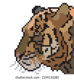 Pixel art with  tiger face head. Vector illustration.