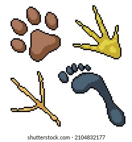 pixel art of various animal footprint