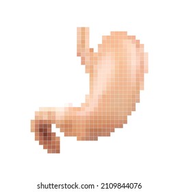 Pixel art vector illustration of healthy human stomach isolated on white