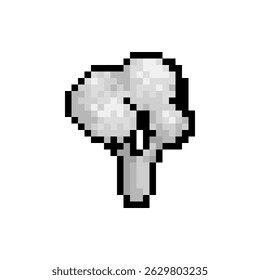 Pixel art white broccoli illustration. pixel art logos. pixel art food