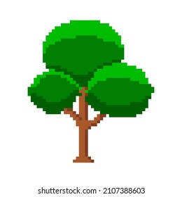 Pixel beech with spherical crowns. Colorful green tree with decorative semicircular shape vector branches.