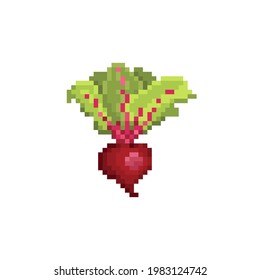 Pixel beetroot vector illustration. Pixel art vegetable beetroot icon. 8 bit style isolated veggie design.
